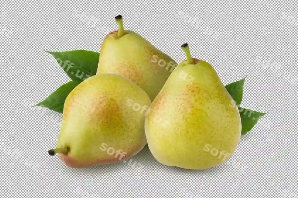 Yashil noklar ajraltirilgan oq fon | Green pears isolated white background