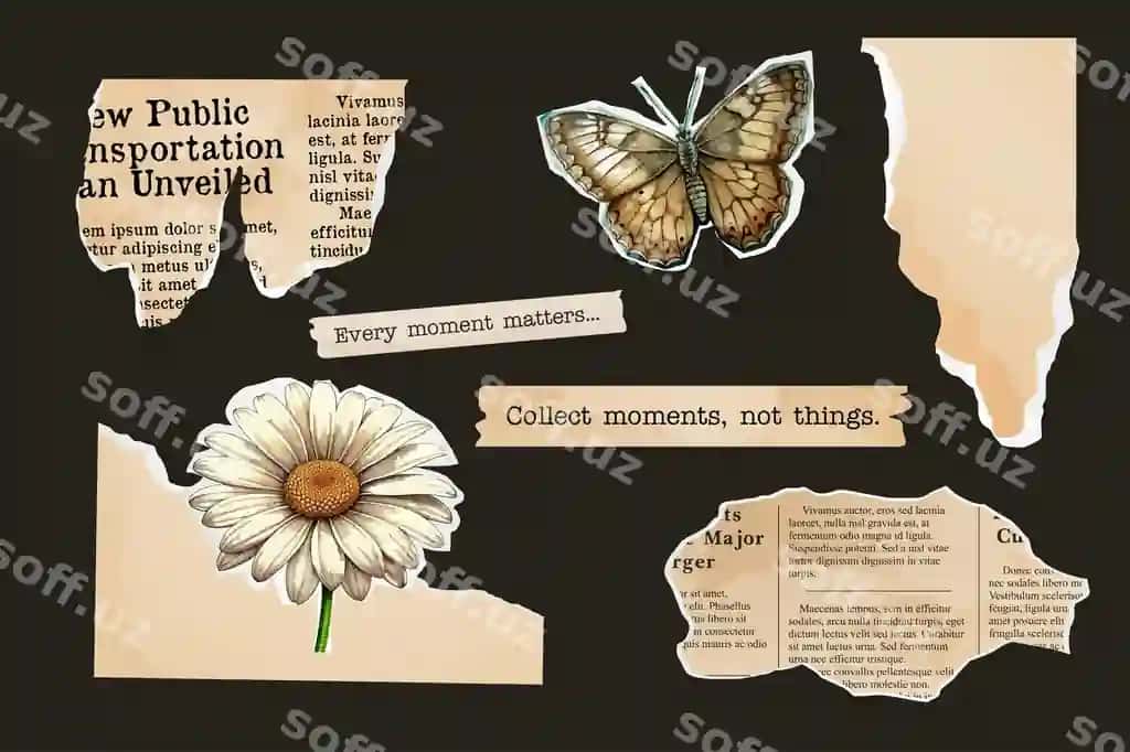 Cholgan qog'ozdan kollassaj to'plami daftar varaqatlari eski gazeta kotirma | Ripped paper set collage notebook sheets old newspaper butterfly