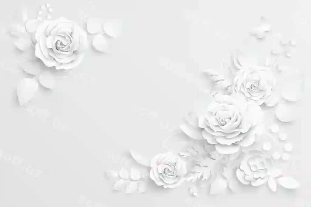 Qog'ozdan kesilgan oq gullar vektor illustratsiyasi | Paper flower white roses cut from paper vector illustration