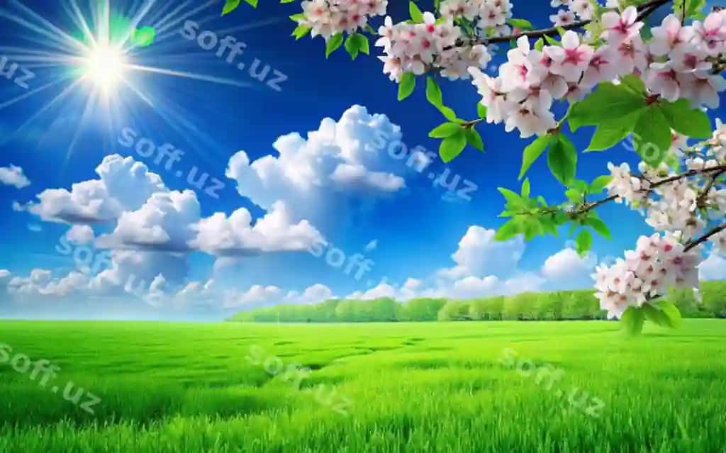 Chiroyli manzara yashil maydon ko'k osmon bilan | Beautiful landscape green field with blue sky