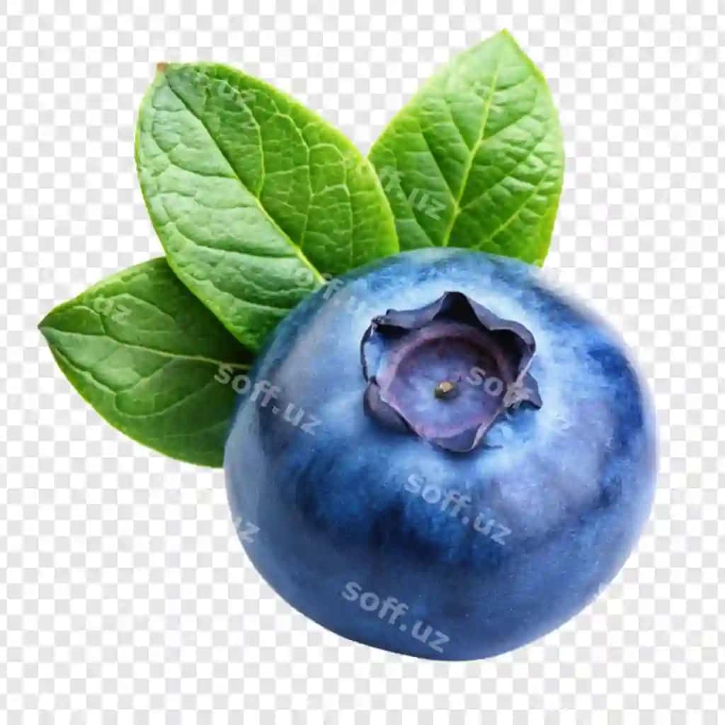 Blauberi meva ajraltirilgan shaffof fonda | Blueberry fruit isolated transparent background
