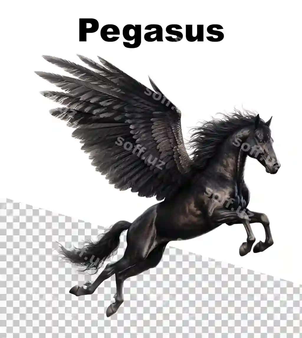 Afisha qora Pegas uçuvchi shaffof fonda so'z | Poster with black pegasus flying with transparent background word
