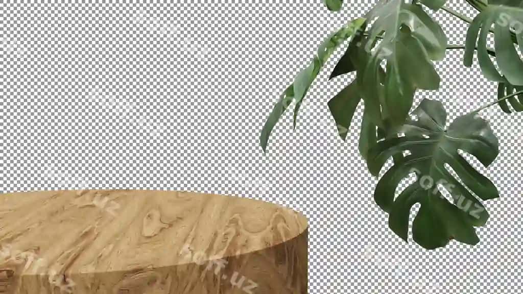 O'simlik yunli stolda o'tmoqda. | Plant is sitting wooden table