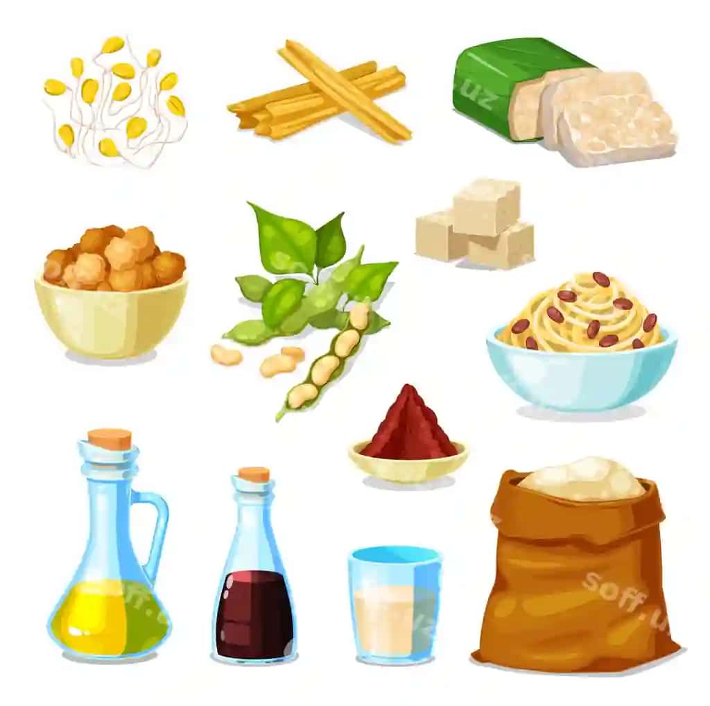 Soya mahsulotlari soya dari ovqati | Soy bean products soybean legume food