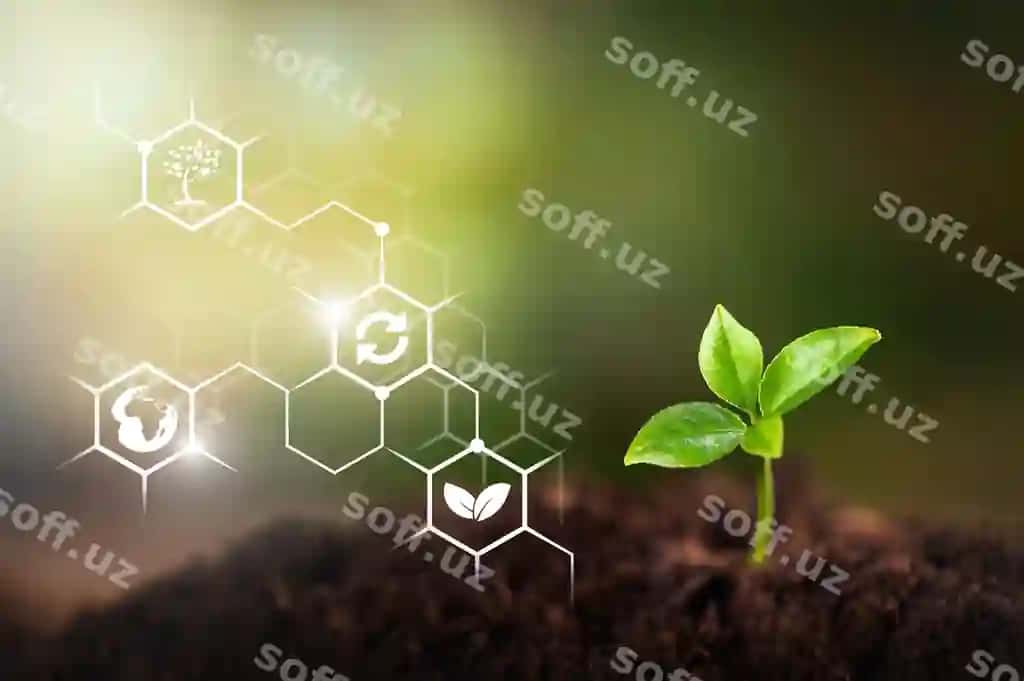 Kichik yashil o'simlik o'sish qo'shnachcha boyev yerdan o'sib | Small green plant grow seedling growing from fertile soil