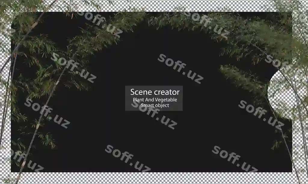 Turli xil bambuk o'simliklari ajratilgan bambuk kesish yo'nalishi | Varieties bamboo plants isolated bamboo clipping path