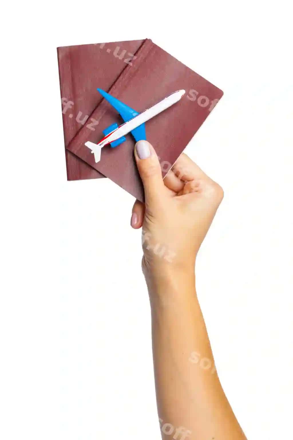 Qoliq pasportni tutgan, oq ajraltirilgan | Hand holding passport isolated white