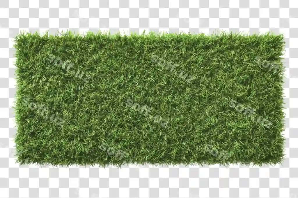Boyoq yashil sun'iy o'tli gilot | Lush green artificial grass mat