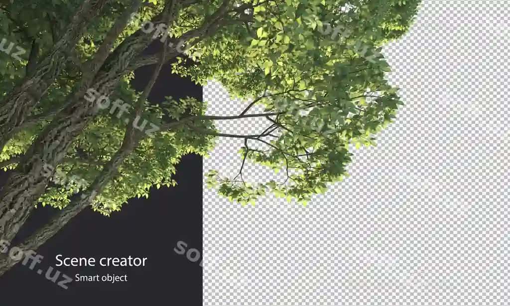 3d daraxt dori ajraltirilgan daraxt dori kesish yo'li | 3d tree branch isolated tree branch clipping path