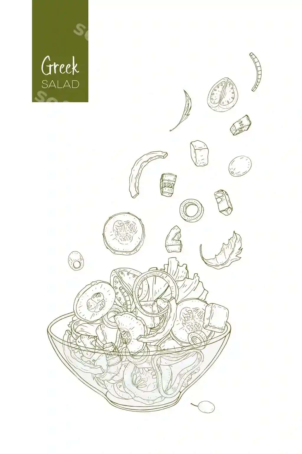 Kontur chizish yunon salati uning mahsulotlari | Contour drawing greek salad its ingredients