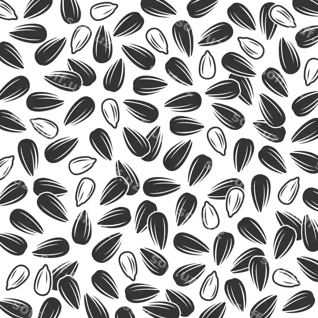 Qizil mahina foni to'plami kolleksiyasi ikonasi qizil mahina vektori | Sunflower background set collection icon sunflower vector