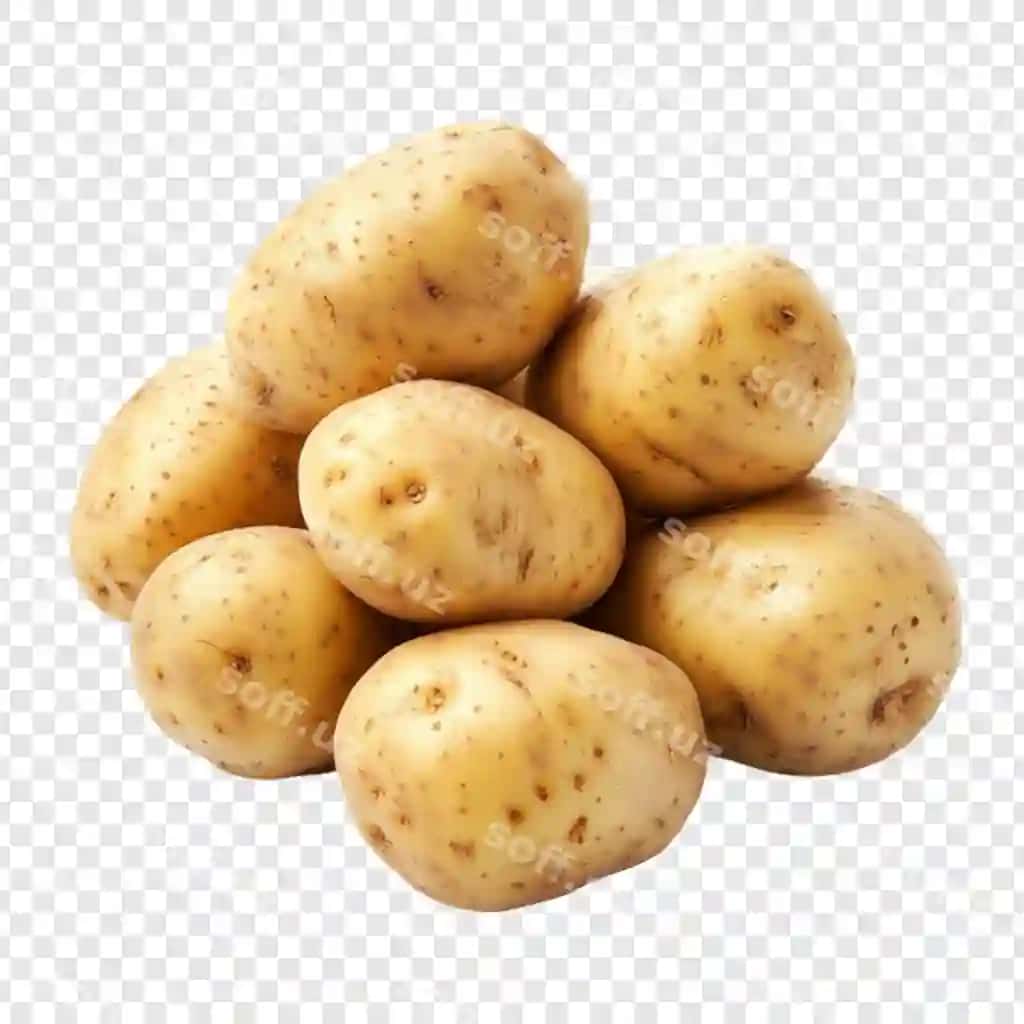 Yangi kartoshkalar, organik o'simliklar, sog'lom ovqat | Fresh potatoes pile organic vegetables healthy food