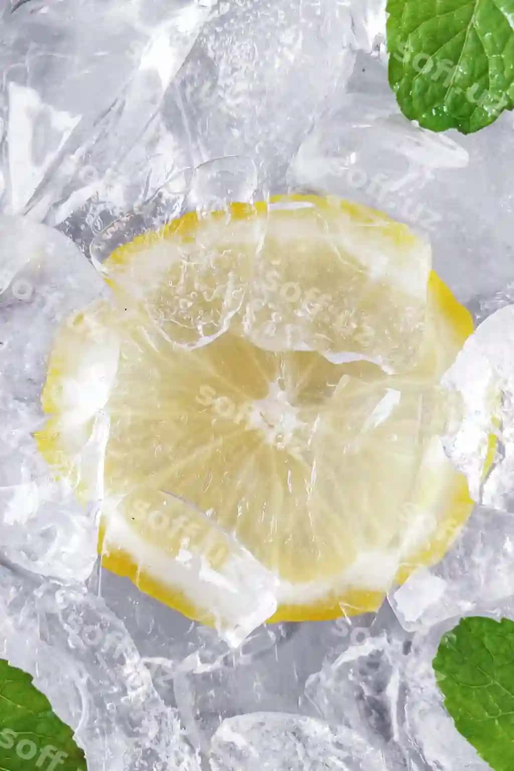Balansi katta burchakdan limon aroldi | High angle view lemon slice