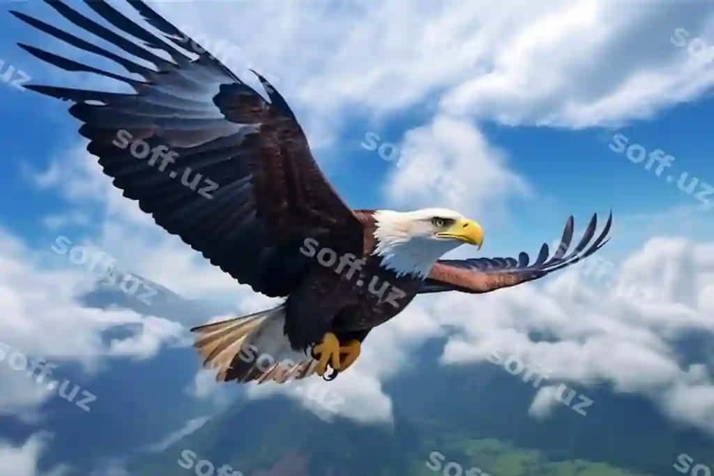 Qadrli baliq uquvi yumshoq bulutlar orqali parvoz qiladi osmon tomonga intilgan ajoyib narsadir | Majestic fish eagle soars fluffy clouds skybound marvel