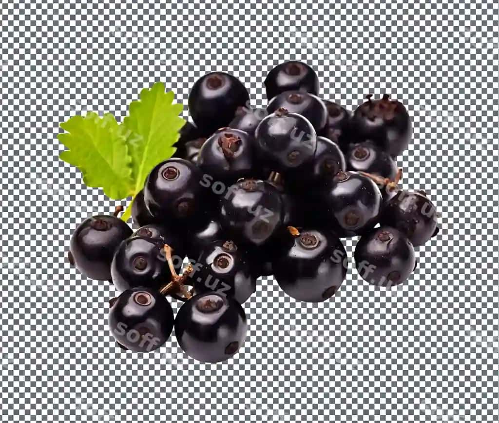 Tabiiy yangi uzum shaffof fonda joylashgan | Natural fresh graps isolated transparent background