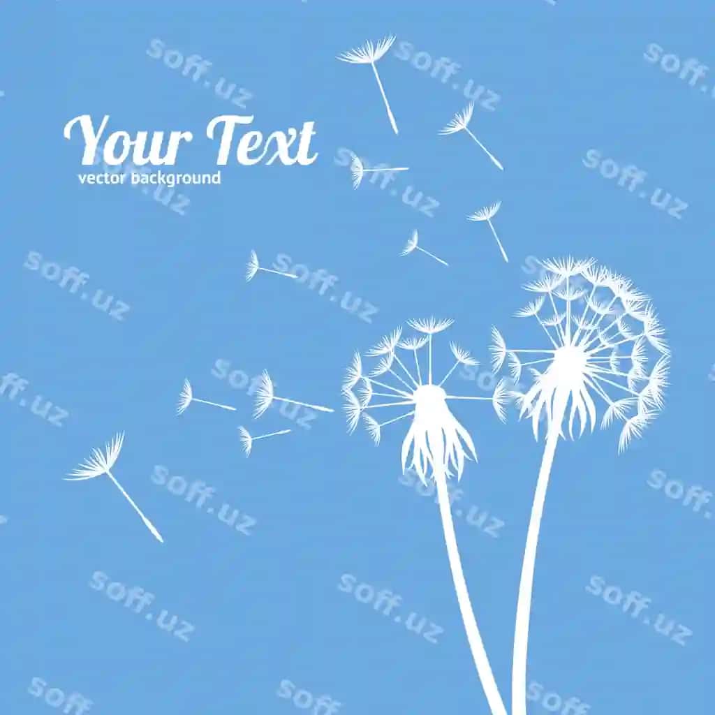 Qizilqovoq puxarli gul urug'lari dala o'simlik karta silueti eko tarz | Dandelion fluffy flower seeds silhouette meadow plant card eco style