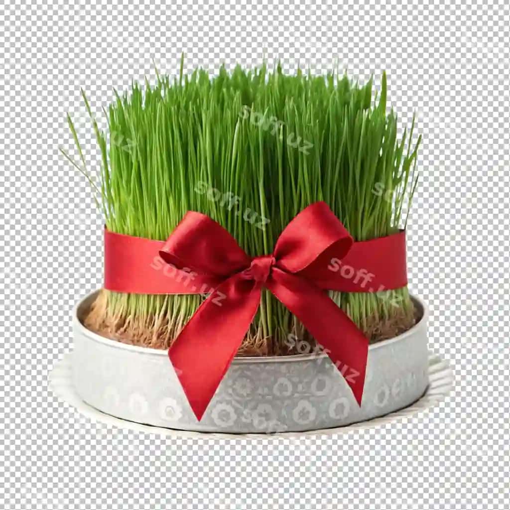 Go'zal Nowruz bezatma | Beautiful nowruz decoration