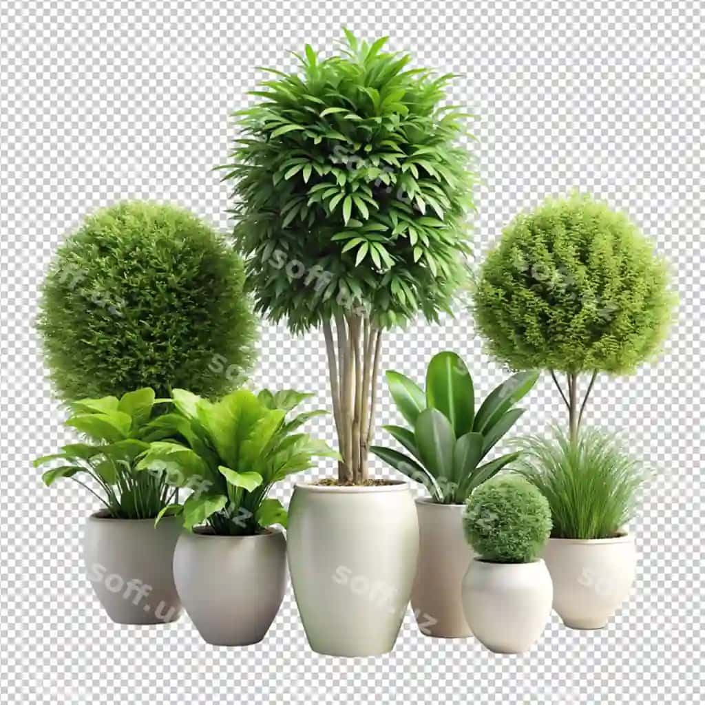3d rendering yashil o'simliklar raqam 7 | 3d rendering green plants number 7