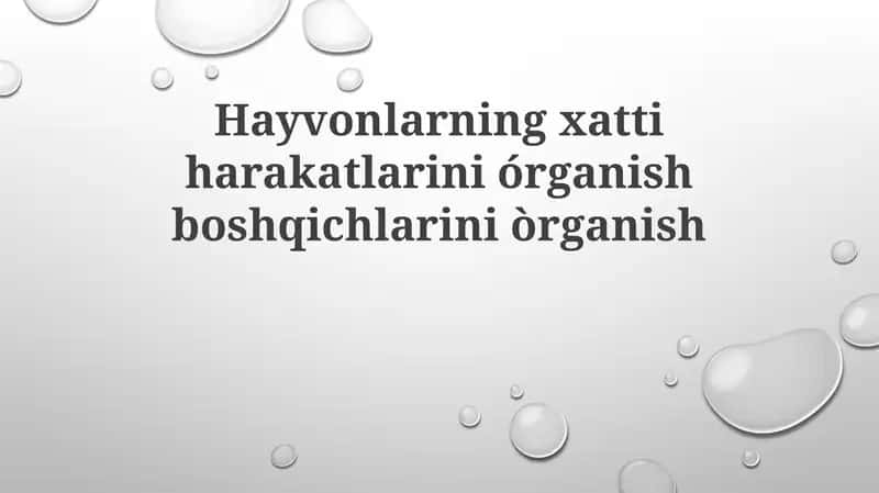 Hayvonlarning xatti-harakatlarini órganish boshqichlarini órganish