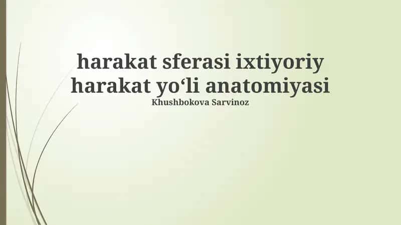Harakat sferasi ixtiyoriy harakat yoʻli anatomiyasi