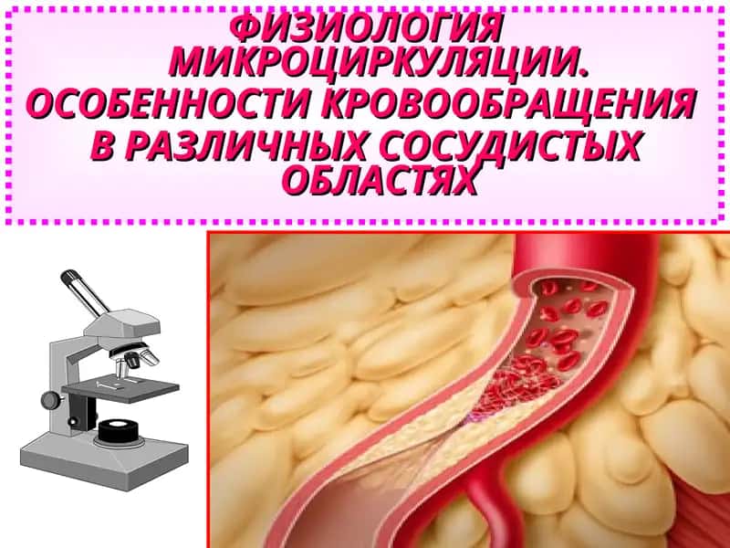 ФИЗИОЛОГИЯ МИКРОЦИРКУЛЯЦИИ. ОСОБЕННОСТИ КРОВООБРАЩЕНИЯ В РАЗЛИЧНЫХ СОСУДИСТЫХ ОБЛАСТЯХ