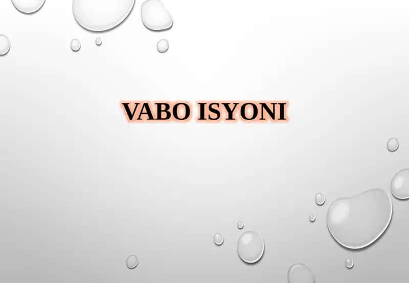 Vaboisyoni