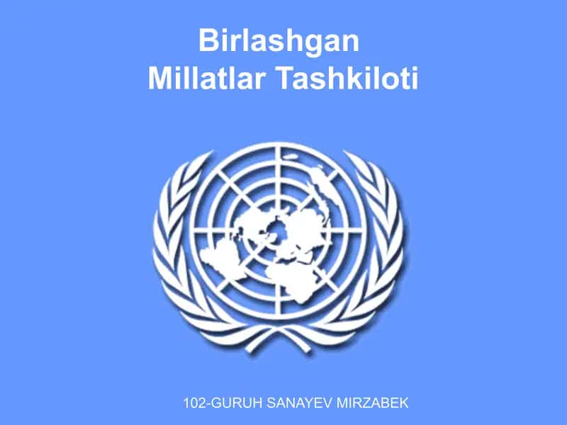 Birlashgan Millatlar Tashkiloti