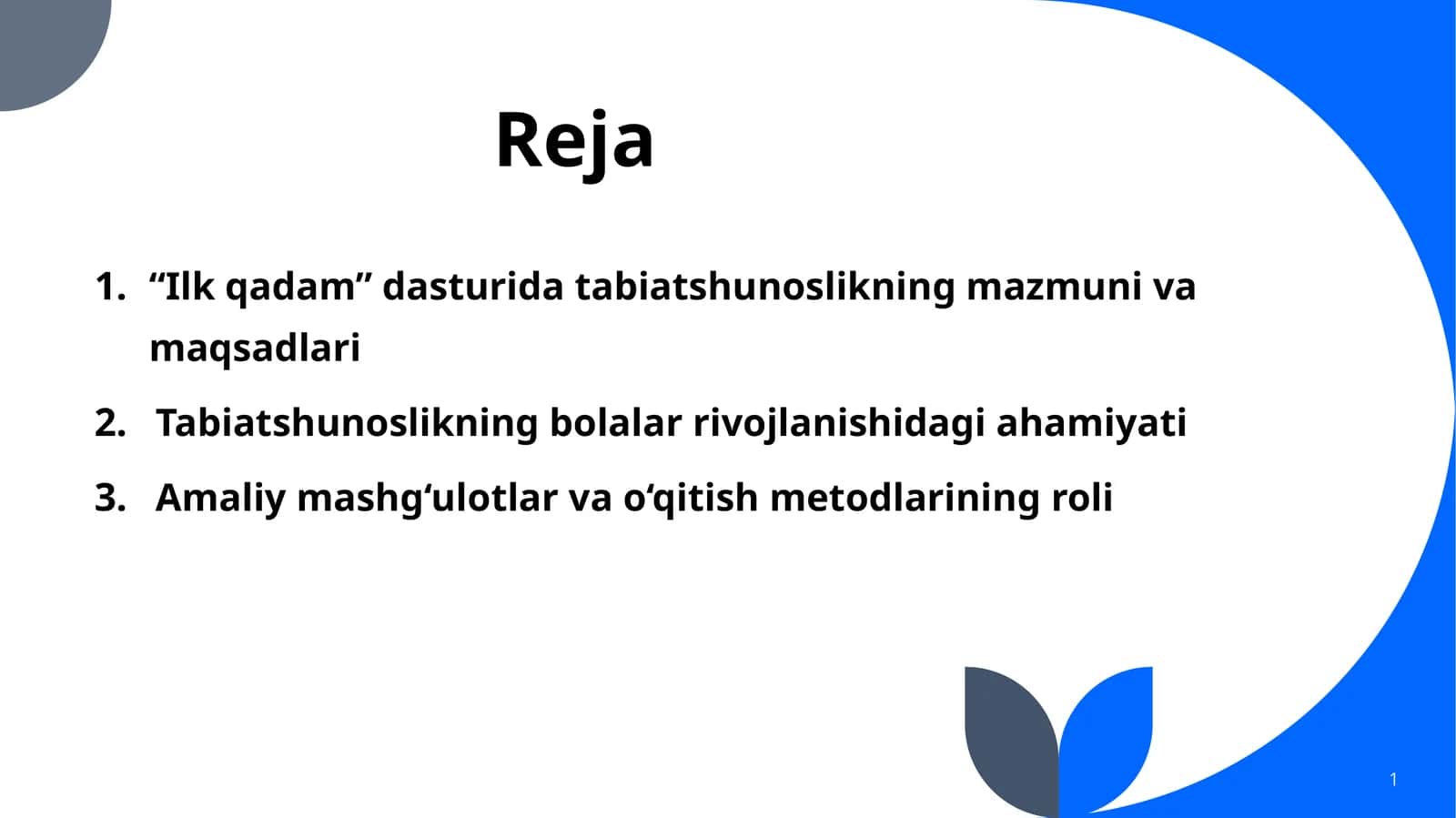 Ilkqadam" dasturi