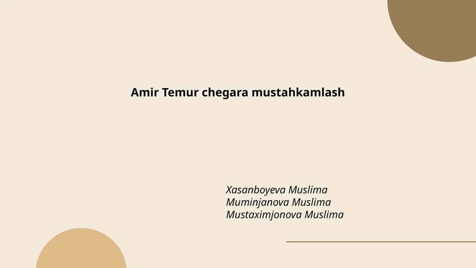 Amir Temur chegara mustahkamlash
