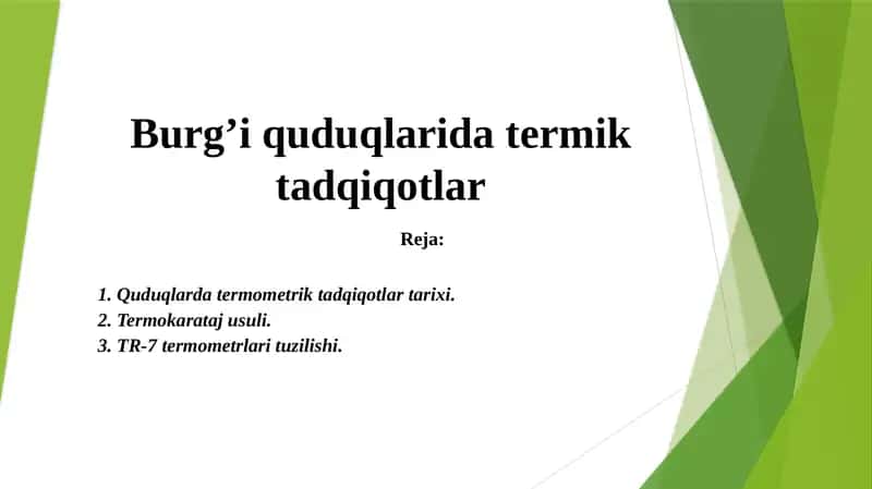 Burg’i quduqlari datermik tadqiqotlar
