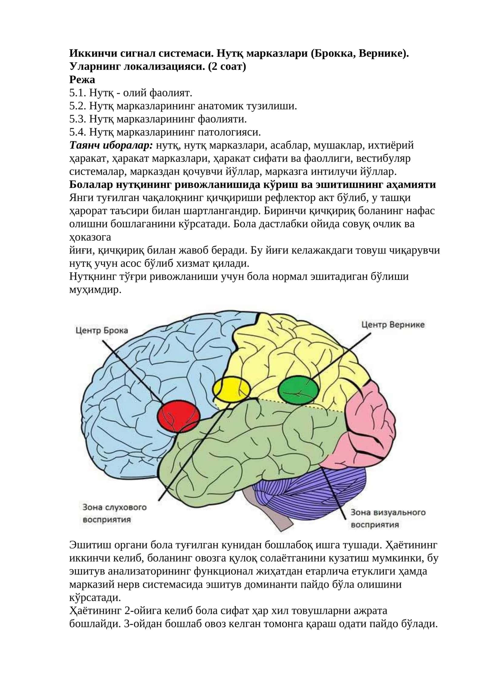 Иккинчи сигнал системаси. Нутқ марказлари (Брокка, Вернике). Уларнинг локализацияси