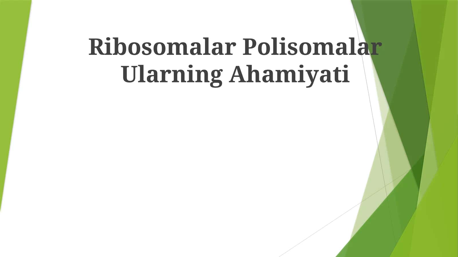Ribosomalar Polisomalar Ularning Ahamiyati