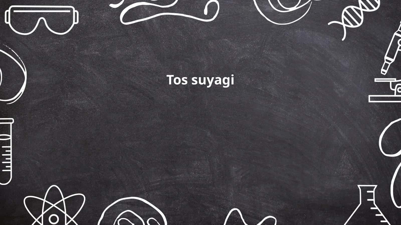 Tos suyagi