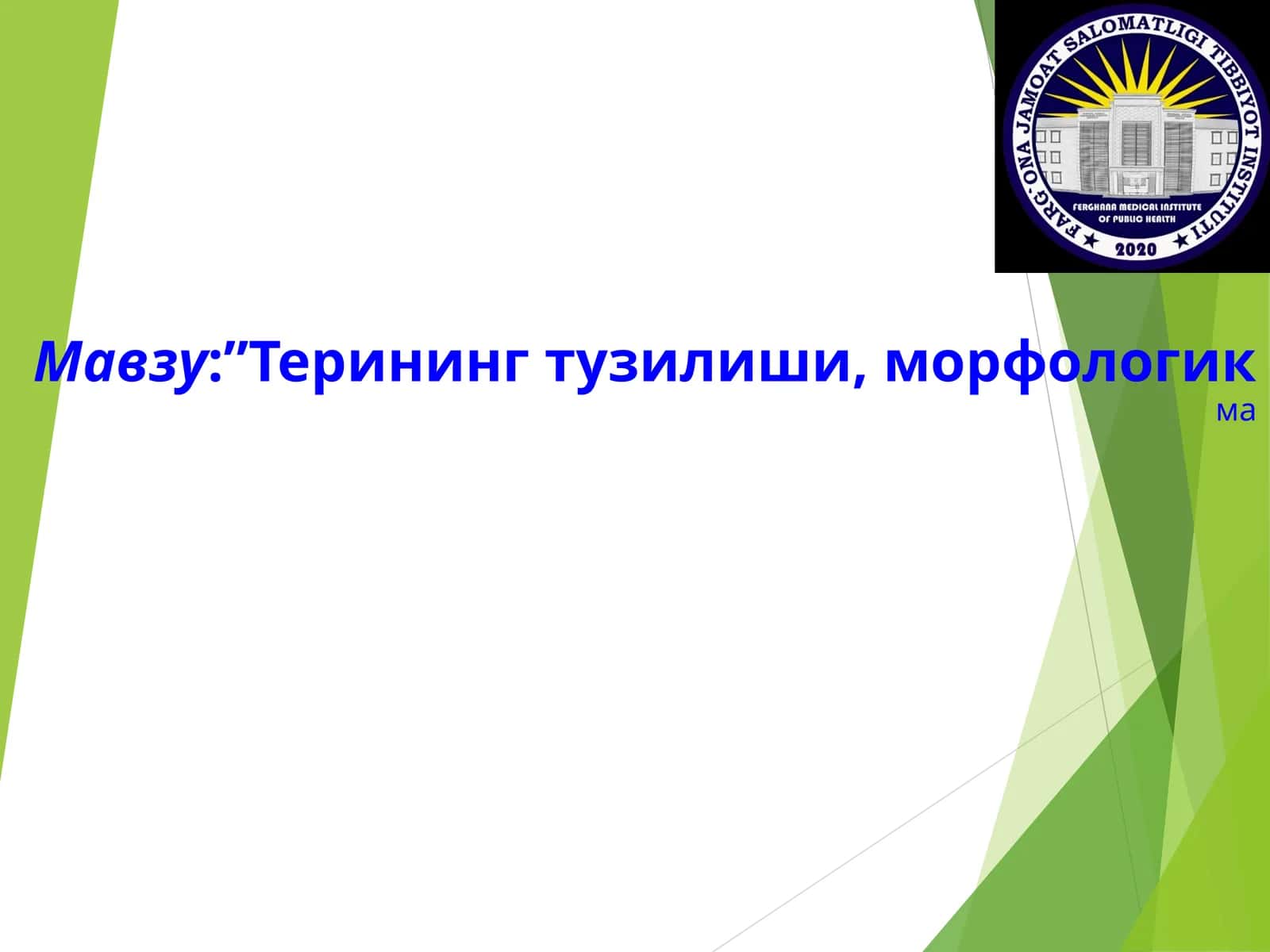 ТЕРИНИНГ ТУЗИЛИШИ, МОРФОЛОГИК ЭЛЕМЕНТЛАРИ