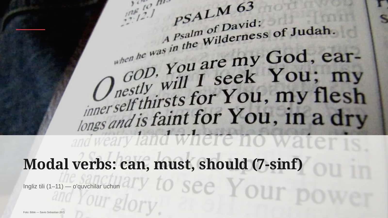 Modal verbs: can, must, should (7-sinf)