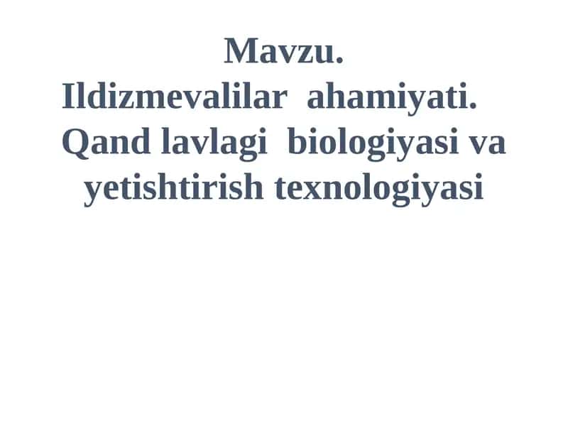 Ildizmevalilar ahamiyati