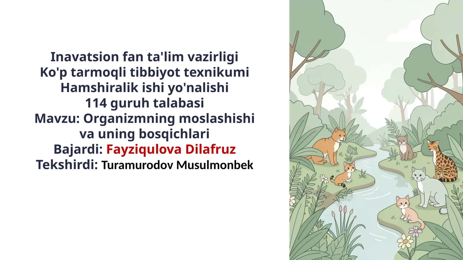 Organizmning moslashishi va uning bosqichlari