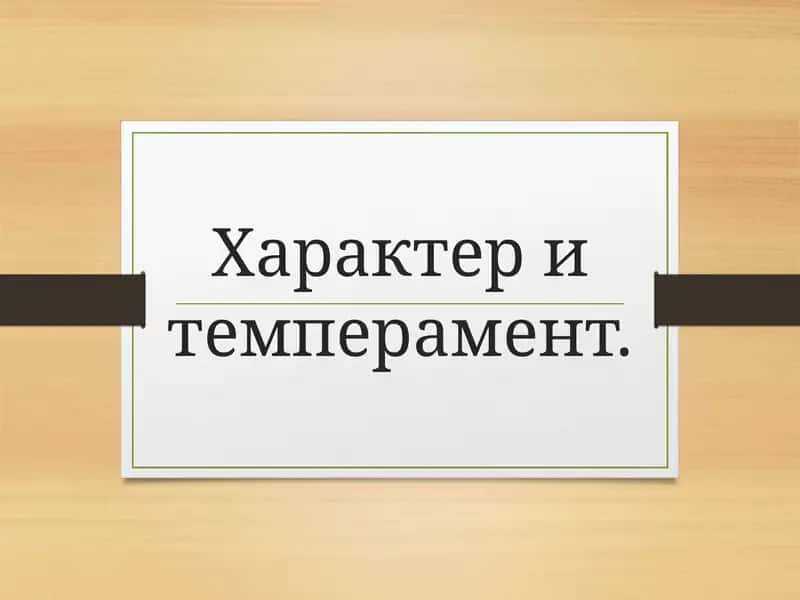 Характер и темперамент