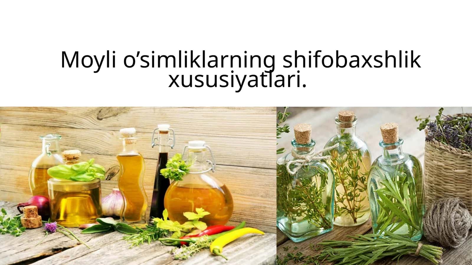 Moyli o’simliklarning shifobaxshlik xususiyatlari