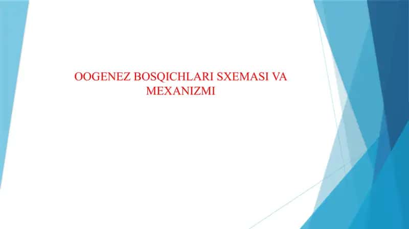 OOGENEZ BOSQICHLARI SXEMASI VA MEXANIZMI