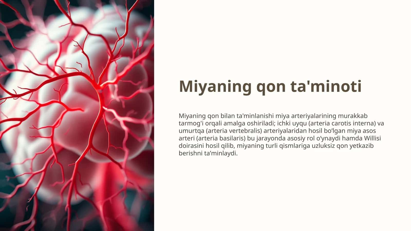 Miyaning qon ta'minoti