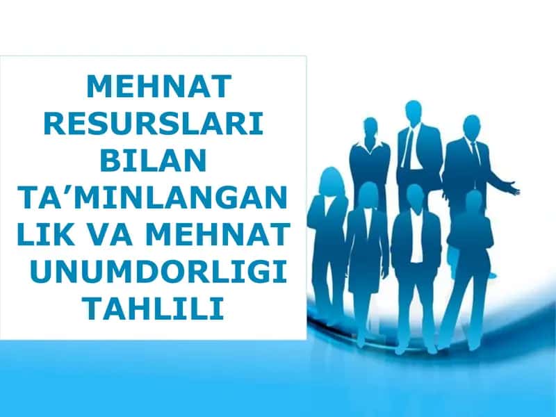 MEHNAT RESURSLARI BILAN TA’MINLANGANLIK VA MEHNAT UNUMDORLIGI TAHLILI