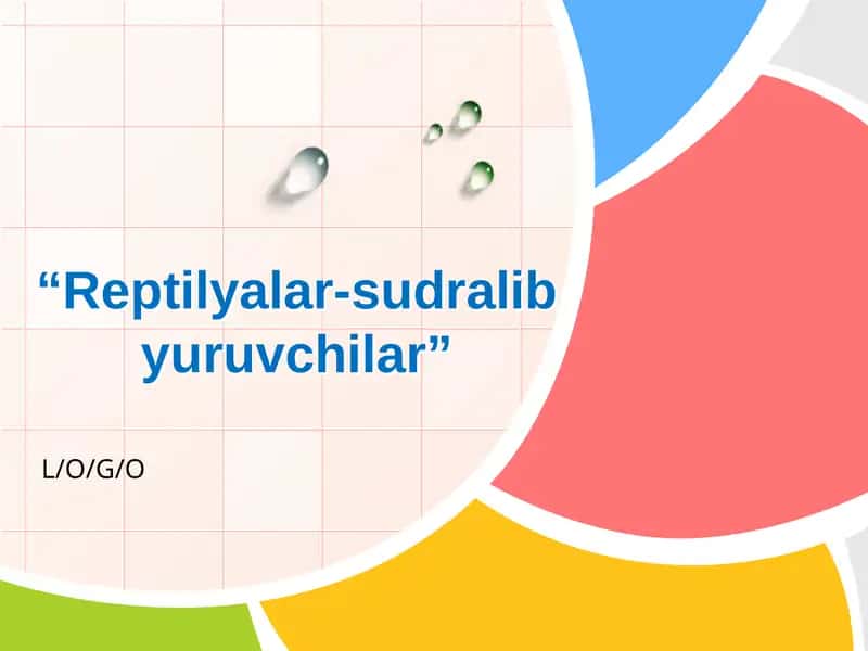 Sudralib Yuruvchilar Sinfi