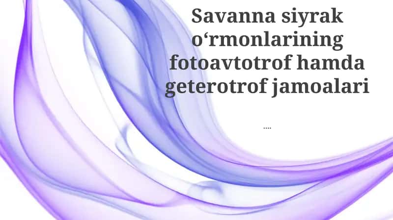 Savanna Geterotroflari