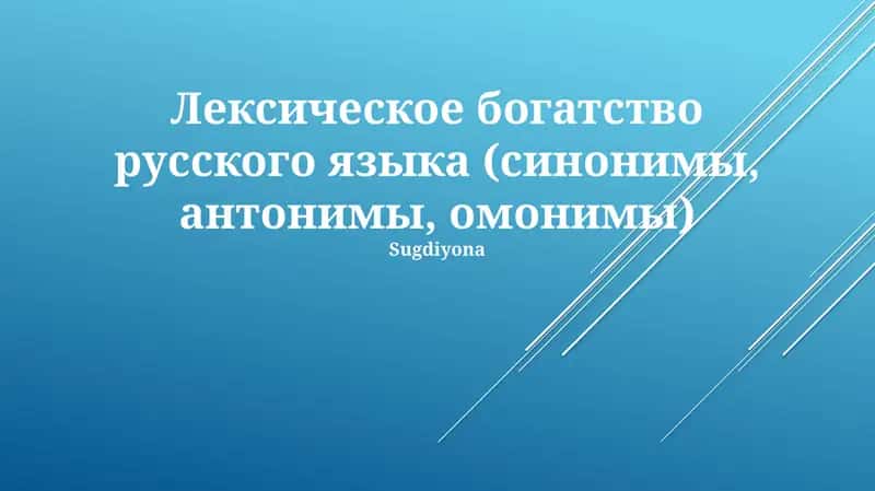 Лексическое богатство русского языка (синонимы, антонимы, омонимы)