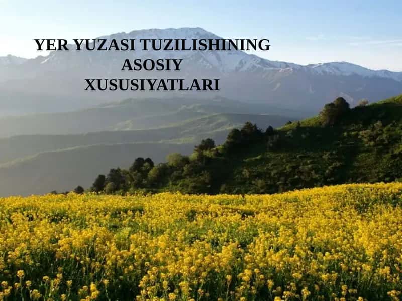 YER YUZASI TUZILISHINING ASOSIYXUSUSIYATLARI
