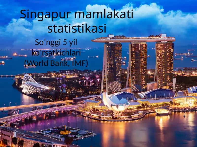 Singapur mamlakati statistikasi