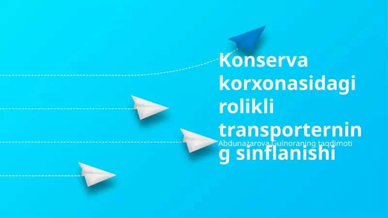 Rolikli Konveyerlar