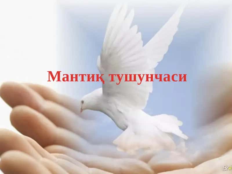 Мантиқ тушунчаси