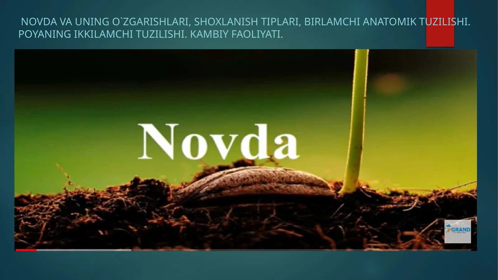 Novda va uning o`zgarishlari
